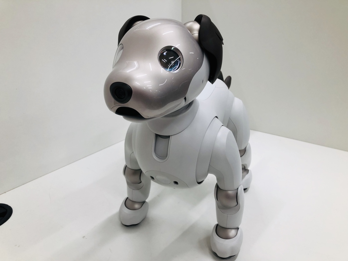 ソニー アイボ aibo(ERS-1000) - キャラクターグッズ