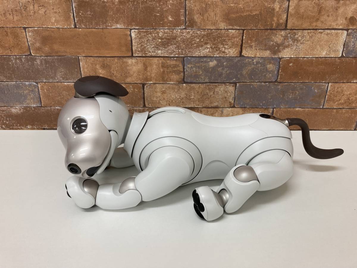 SONY ソニー aibo ERS-1000 初期化・動作確認済　領収書発行可のみものボウル